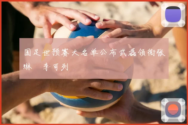 国足世预赛大名单公布武磊领衔张琳芃李可列