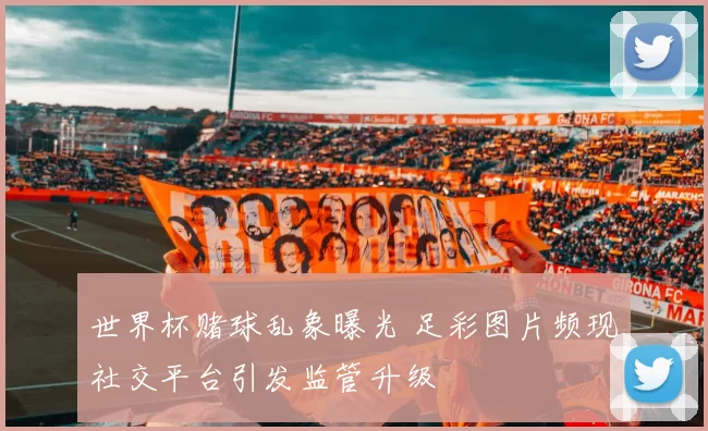 世界杯赌球乱象曝光 足彩图片频现社交平台引发监管升级