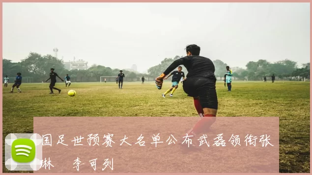 国足世预赛大名单公布武磊领衔张琳芃李可列