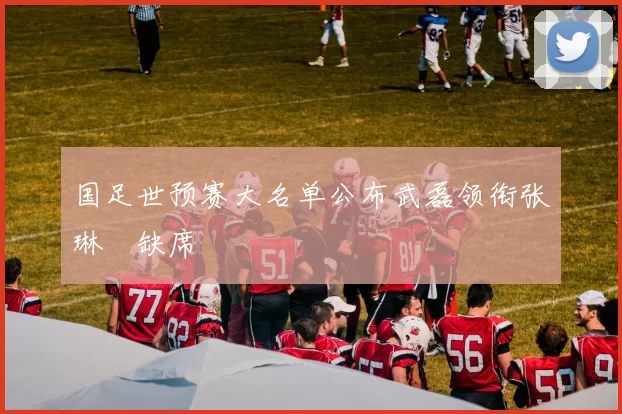 国足世预赛大名单公布武磊领衔张琳芃缺席