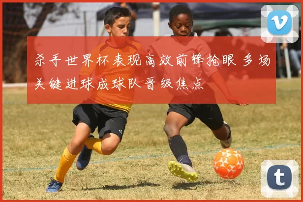 杀手世界杯表现高效前锋抢眼 多场关键进球成球队晋级焦点